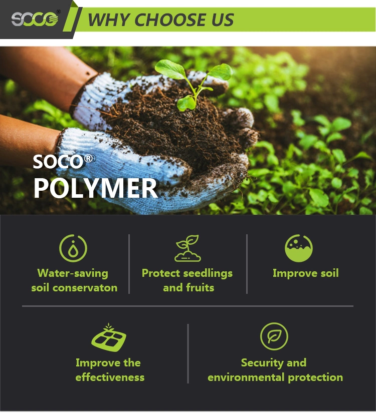 Hydrogel Super Absorbent Polymer for Agriculture for Fruit Trees Lawns Horticulture Vegetables Increase Yield 20% Save Water 50% Transplanting Rate 99%